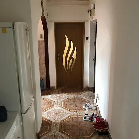 公寓 Apartament Stefan Cel Mare *